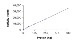 Sino Biological&nbsp;Recombinant Human TrkA Protein (G595R, A608D, GST Tag), Active
